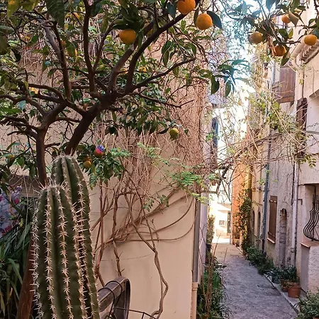 Art Loft Sud Vue * הייר